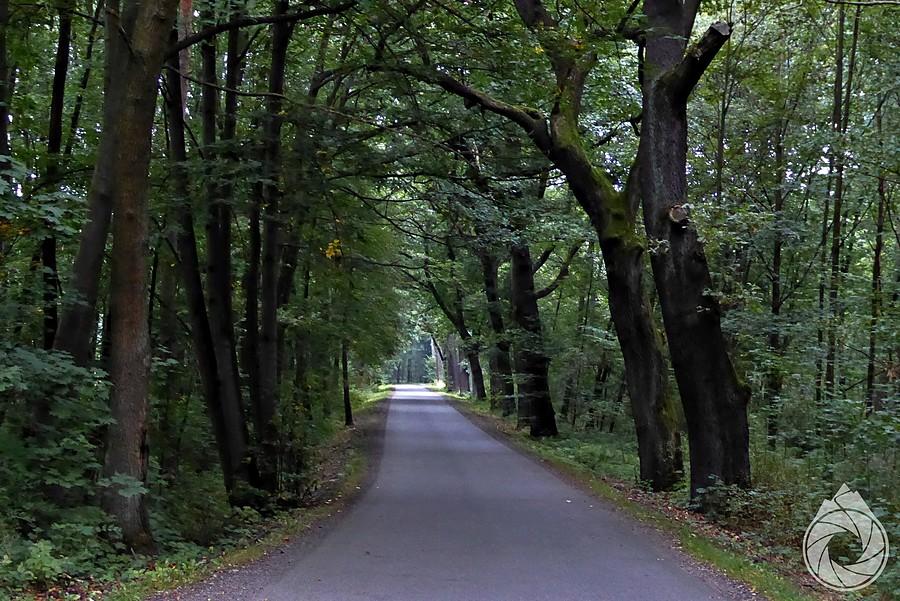 drogi okołożorskie