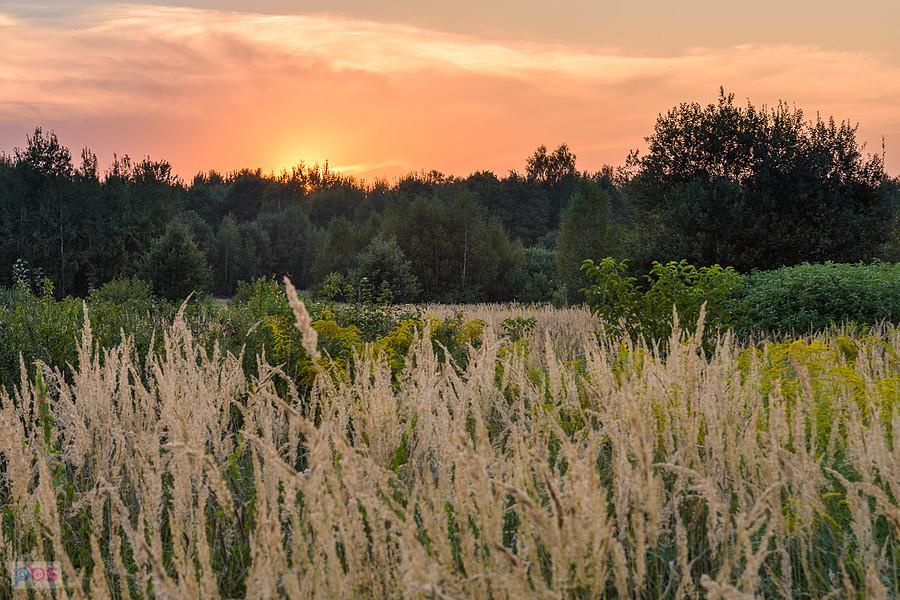 Zachód słońca na obrzeżach miasta - Częstochowa, dzielnica Błeszno.