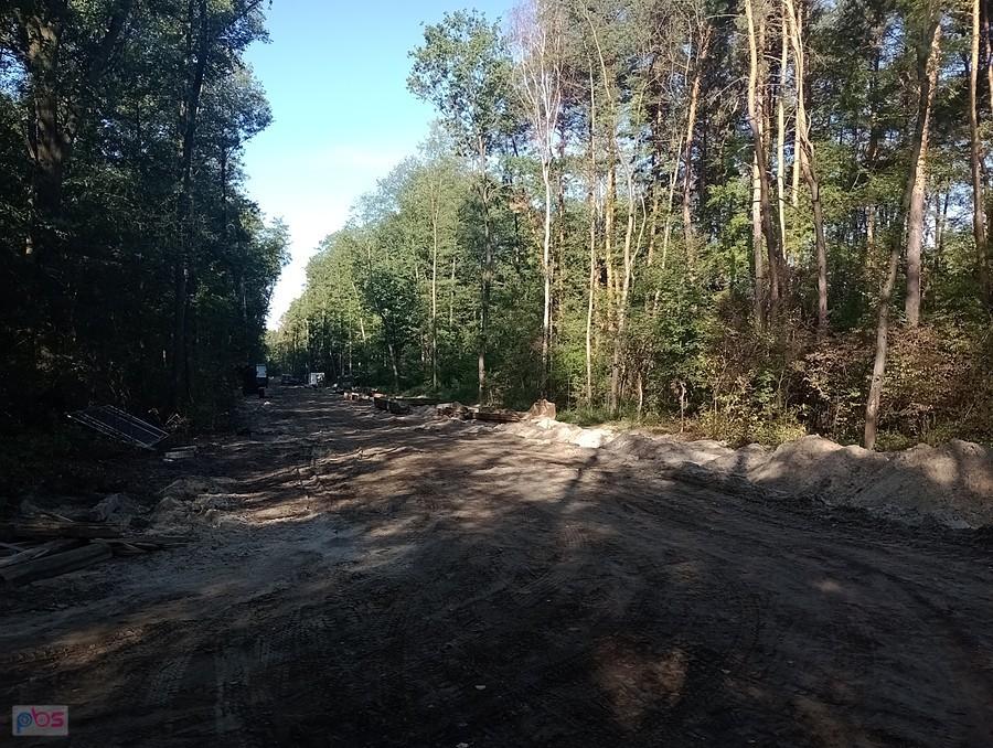 Skręciłam w prawo na leśnej drodze i dojechałam do kolejnego odcinka budowy gazociągu