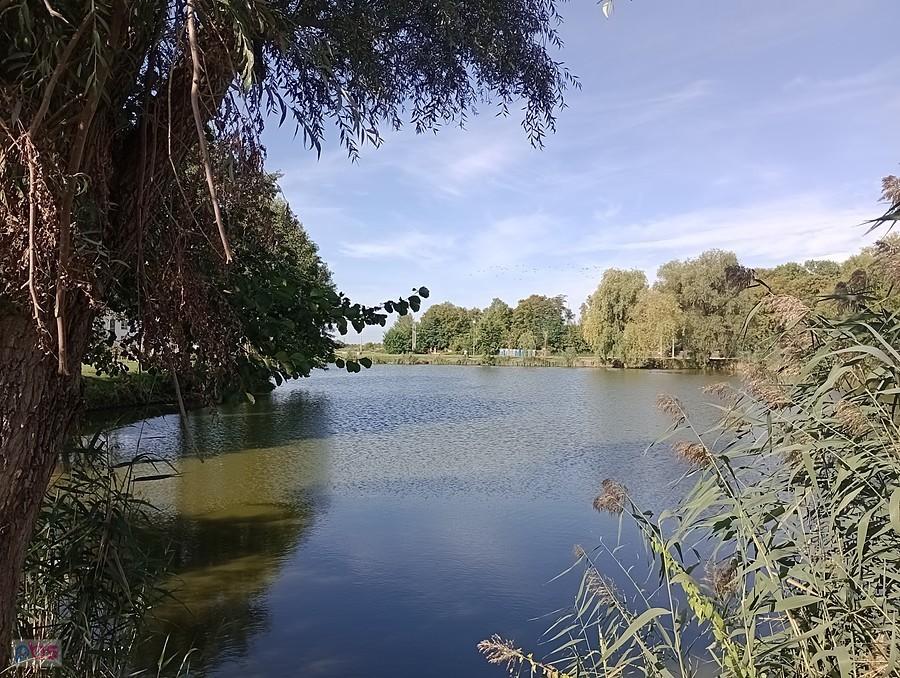 Staw w Zielonkach