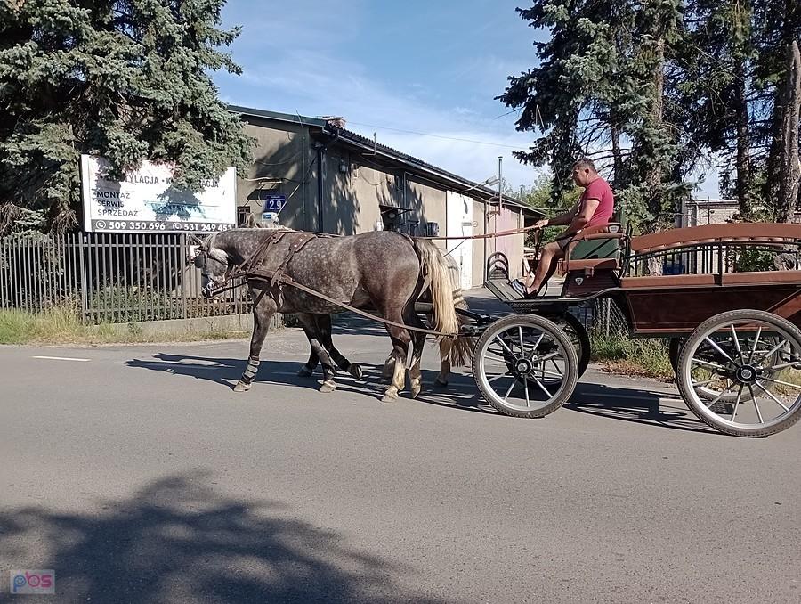 Konna bryczka to dziś rzadkość