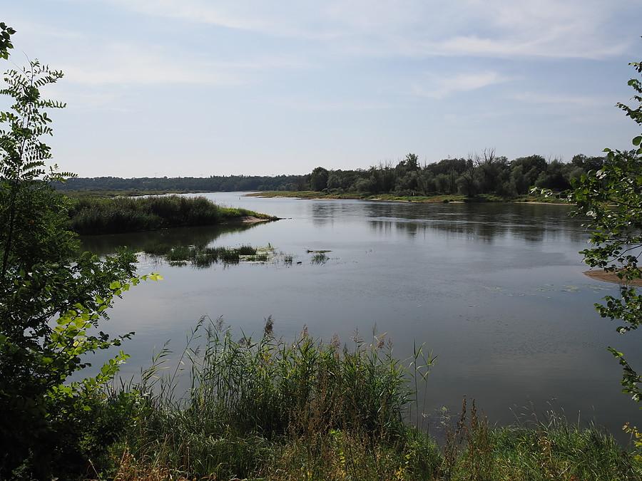 Ujście Ilanki do Odry w Świecku