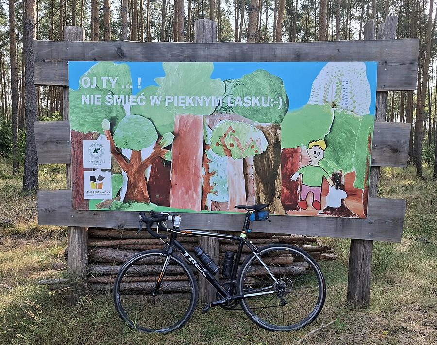 Nadleśnictwo Babki miało jakiś pomysł. Wyszło jak zawsze
