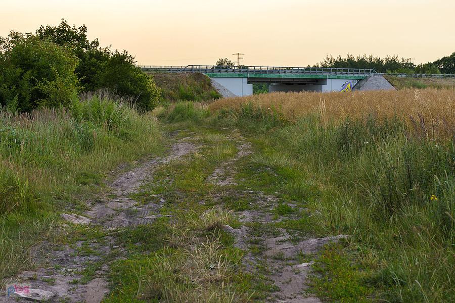 Ujęcie za plecami, droga przez pola w myszkowskiej dzielnicy Franulka, widoczny wiadukt DW 791.