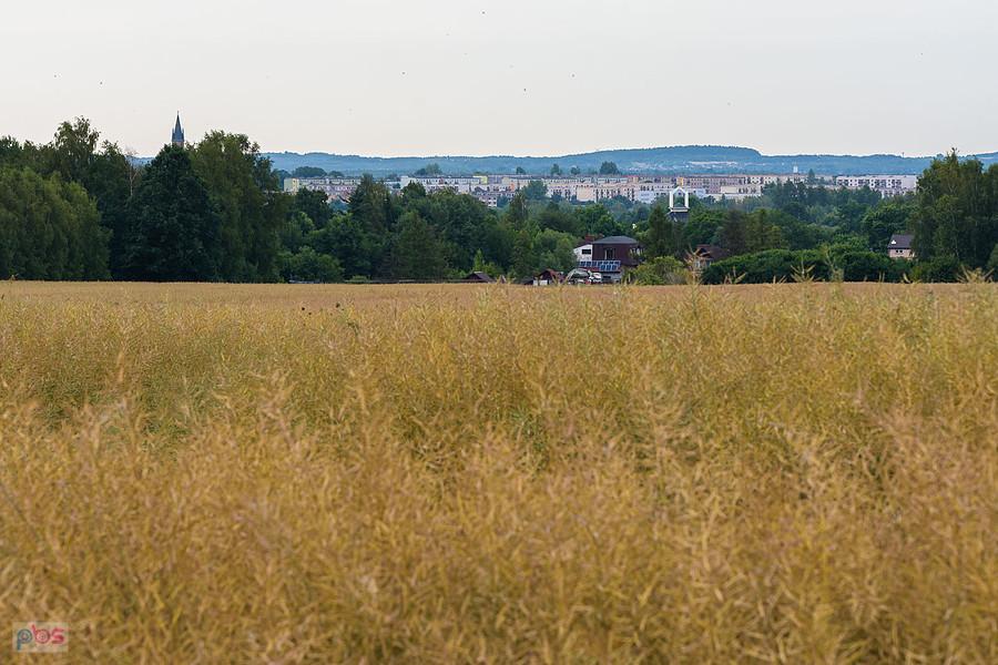 Myszków, Franulka