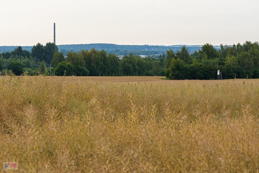 Myszków, Franulka