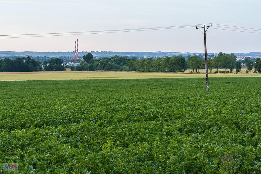 Myszków, Potasznia