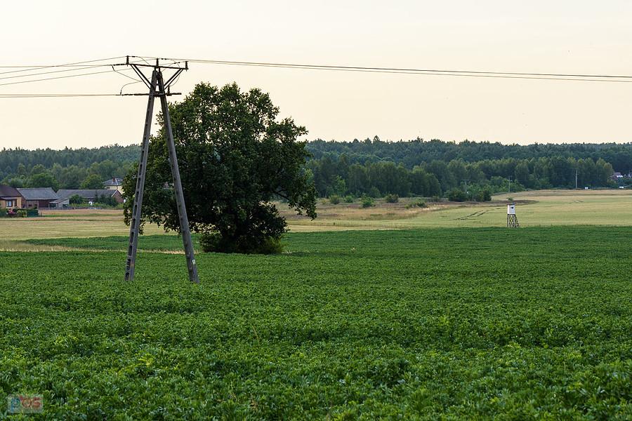 Myszków, Potasznia