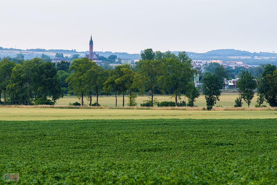 Myszków, Potasznia, w oddali kościół Św. Stanisława B.M.