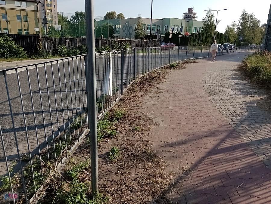Wreszcie usunęli chwasty z ddr. Może niezbyt dokładnie, ale jednak