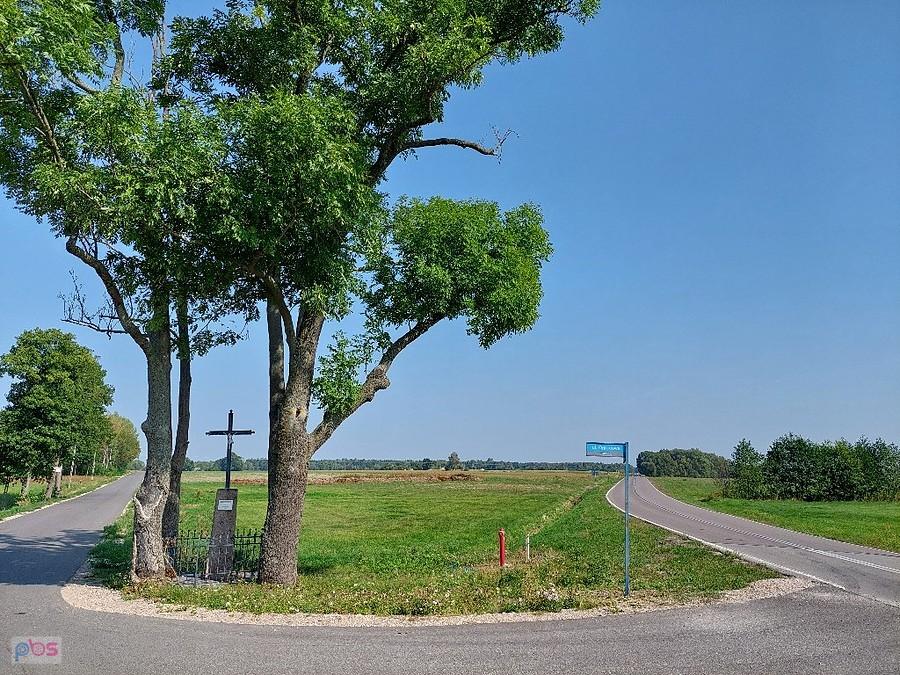 Takie pejzaże towarzyszyły podróży rowerowej, póki nie zapuściłem się w lasy