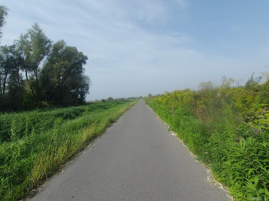 Wzdłuż Raszynki