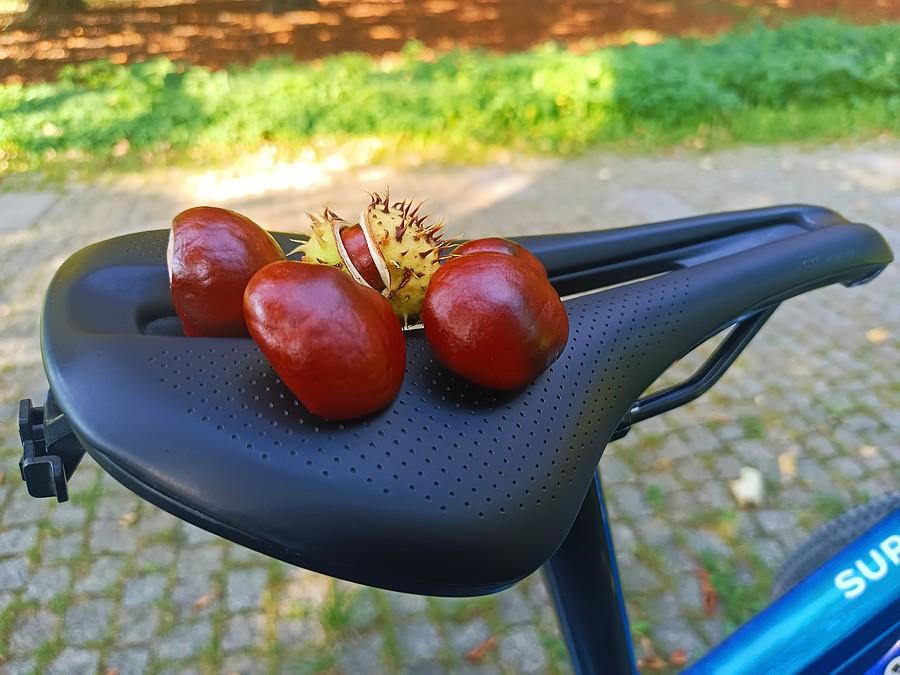 Ale jak to? Już???