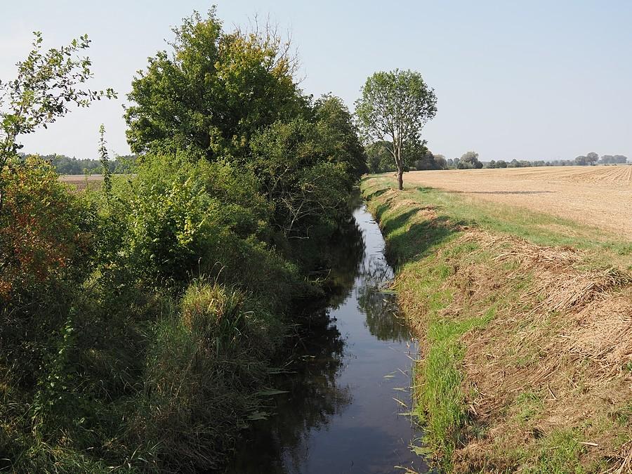 Rzeka Pottack pod Vogelsang