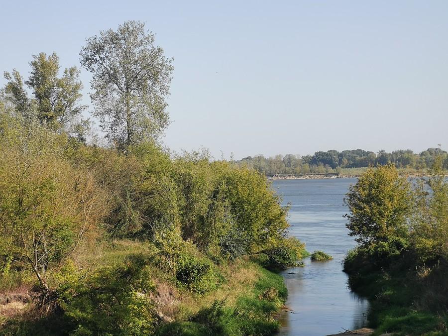 Też Jeziorka