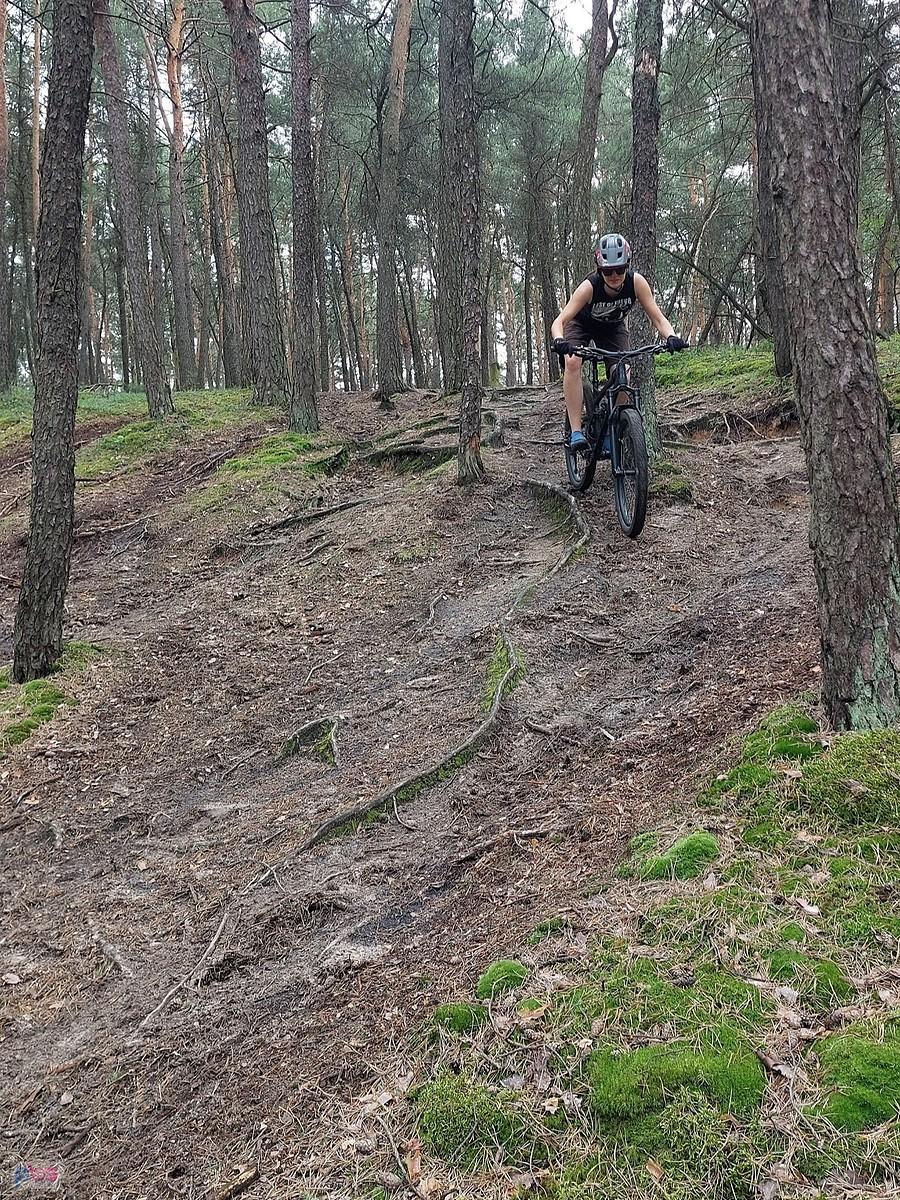 Trasa XC Rokitnica