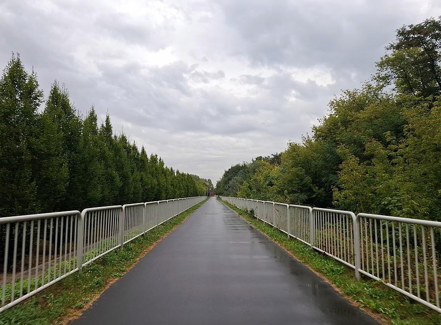 DDR-ka wzdłuż Dolnej Wildy