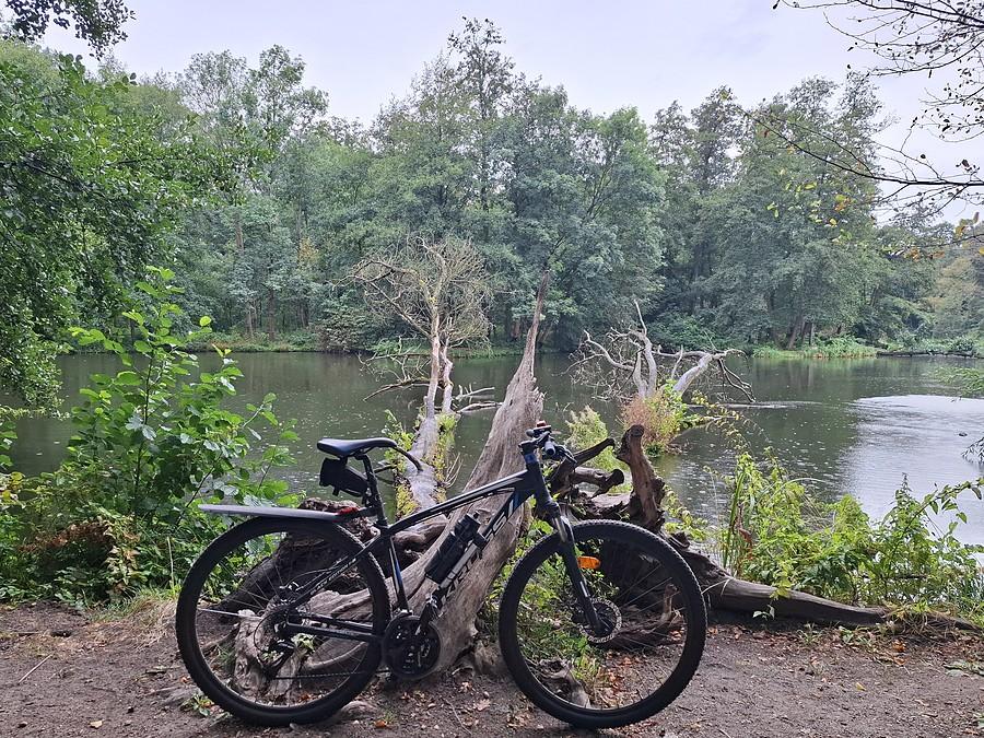 Deszczowa rowerówka z Dębiny