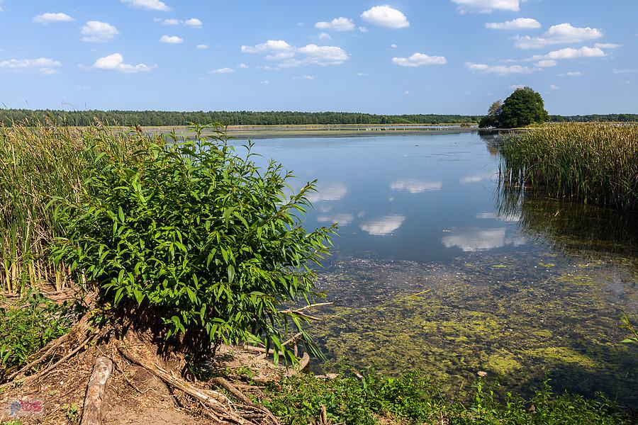 Staw Posmyk - Lubliniec