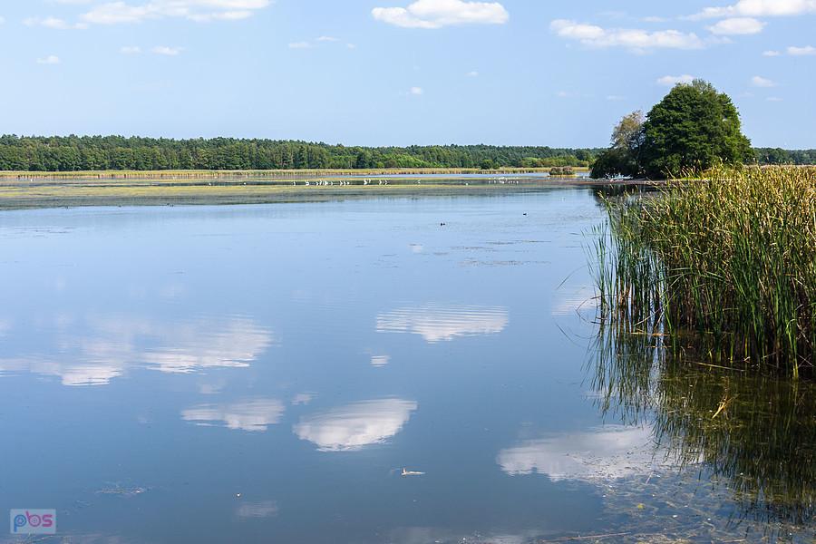 Staw Posmyk - Lubliniec