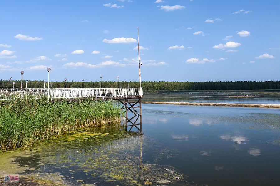 Staw Posmyk - Lubliniec