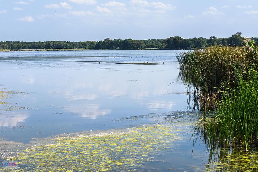 Staw Posmyk - Lubliniec