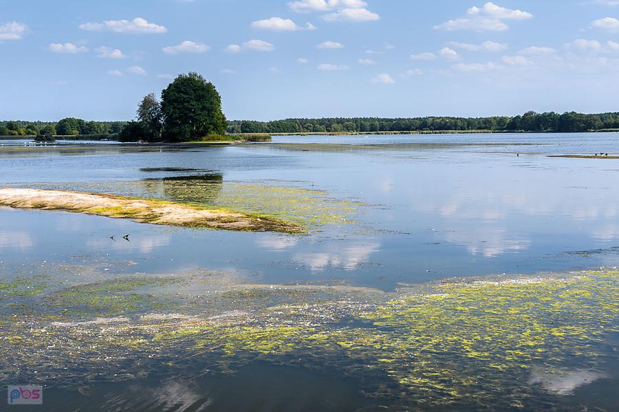Staw Posmyk - Lubliniec