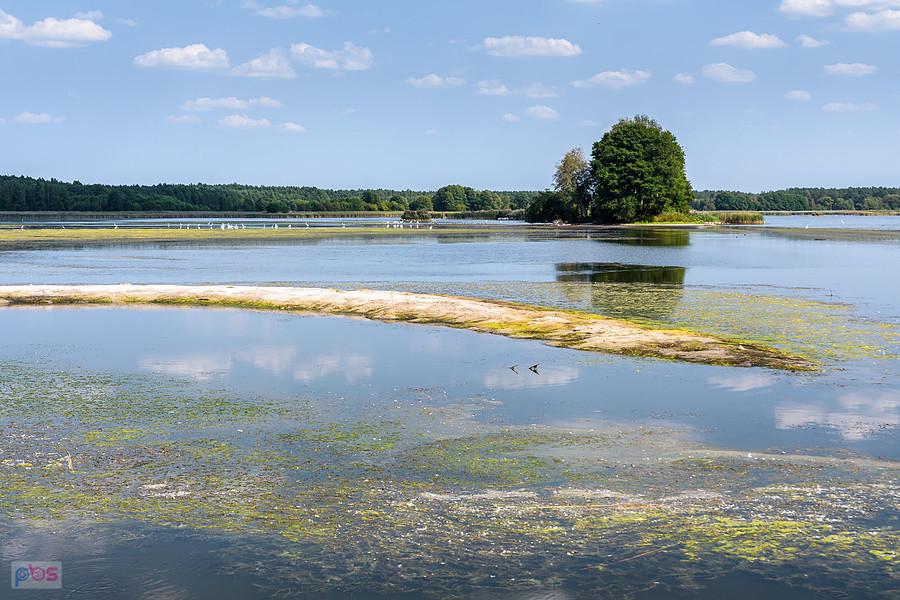Staw Posmyk - Lubliniec