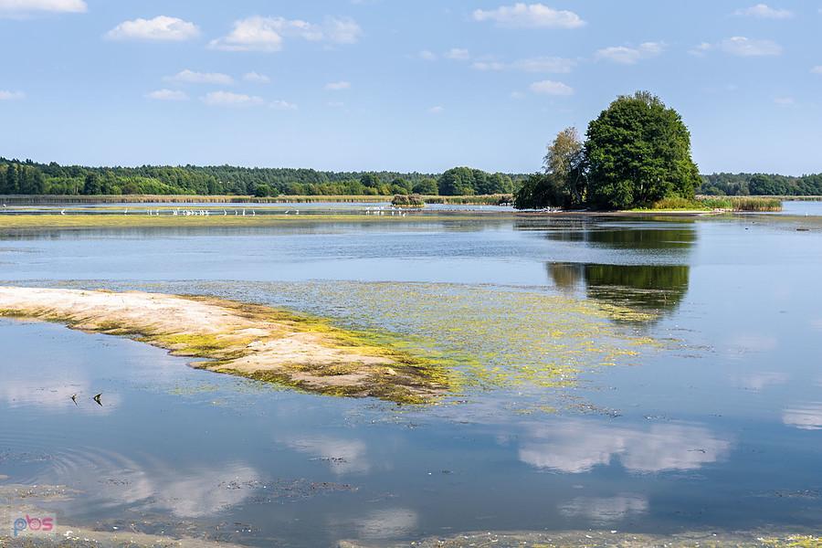 Staw Posmyk - Lubliniec