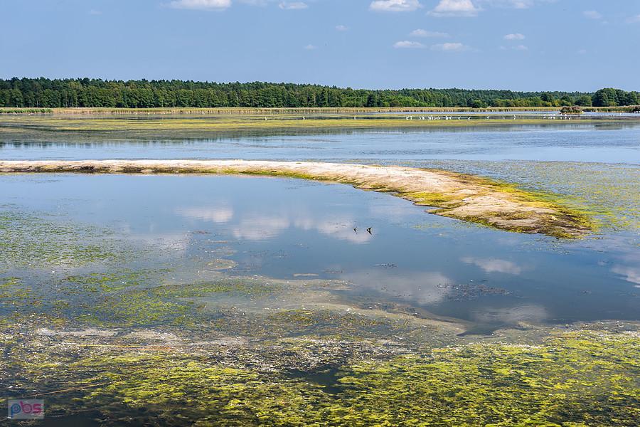 Staw Posmyk - Lubliniec
