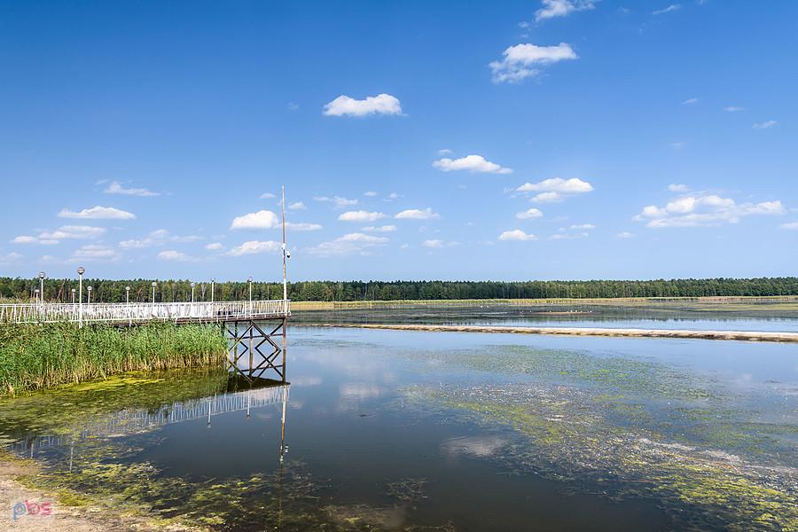 Staw Posmyk - Lubliniec