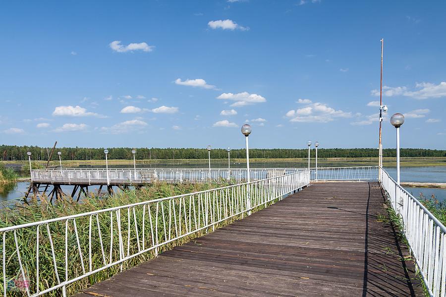 Staw Posmyk - Lubliniec