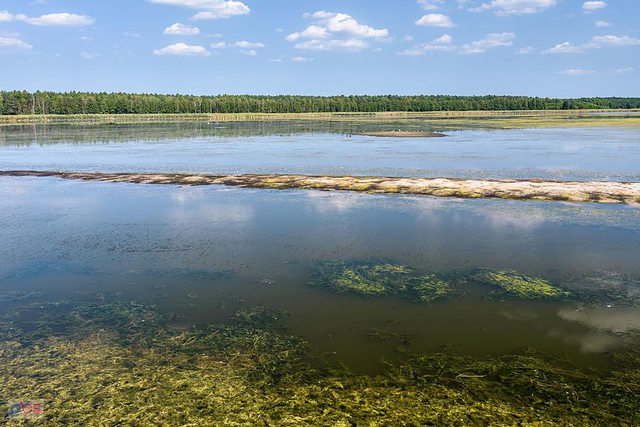 Staw Posmyk - Lubliniec
