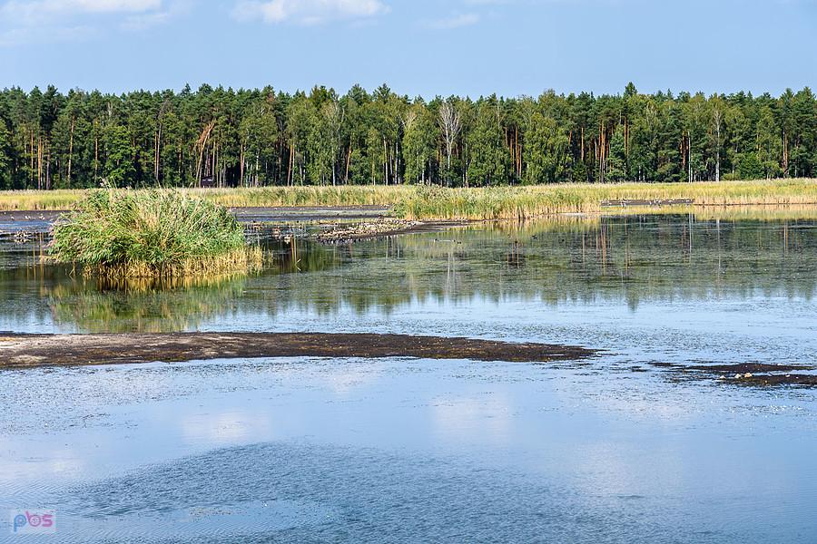 Staw Posmyk - Lubliniec