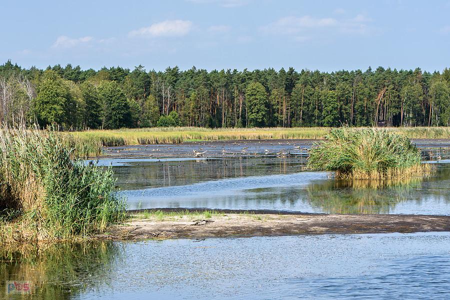 Staw Posmyk - Lubliniec