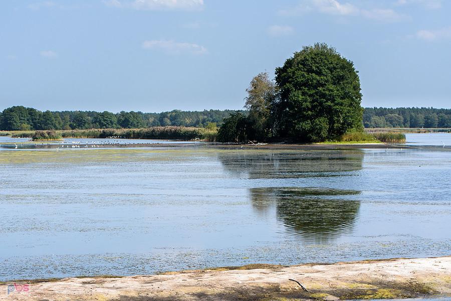 Staw Posmyk - Lubliniec