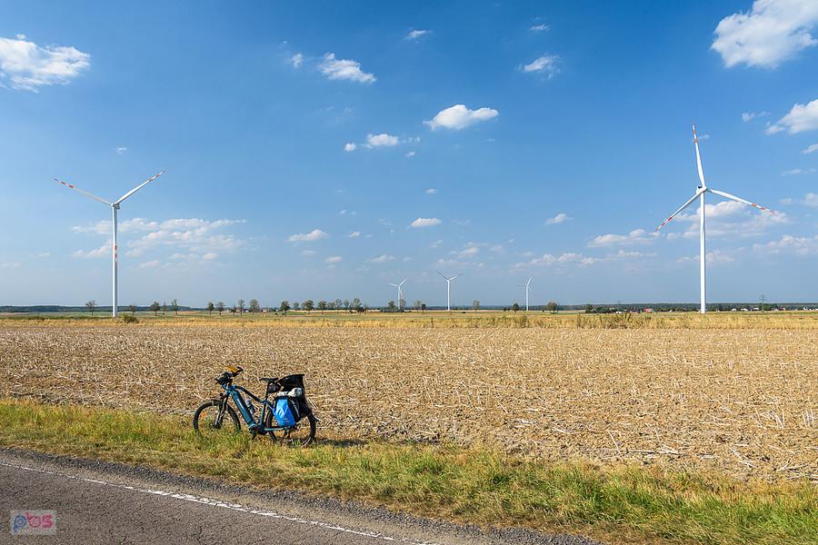 Świbie