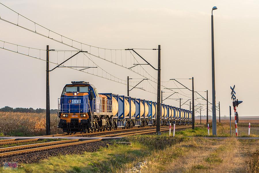 15D-114 na szlaku linii D29-152: Toszek Północ - Czarków mija pola we wsi Świbie.