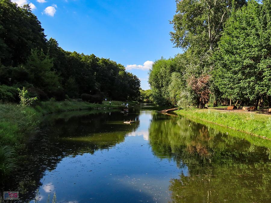 Park Arkadia to królestwo komarów i kaczek