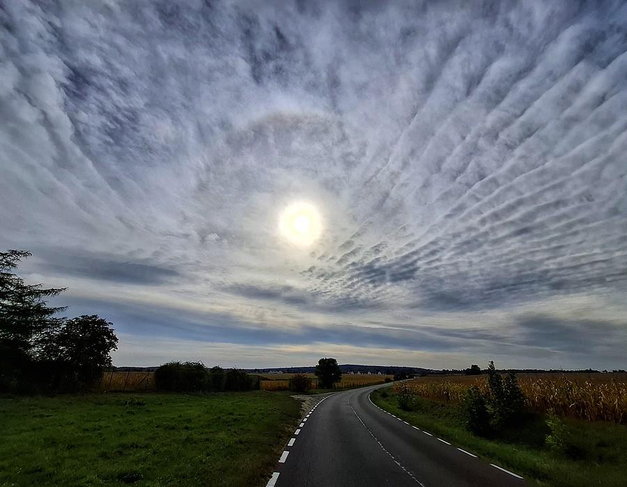 Poranne "halo"