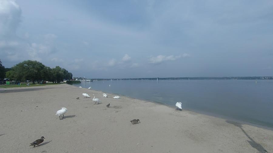 Plaża Nieporęt