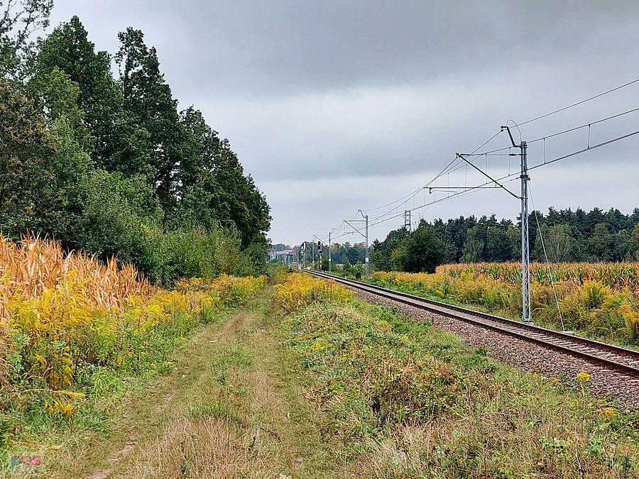 Linia kolejowa D29-146, szlak: Cykarzew - Rząsawa w Lubojence