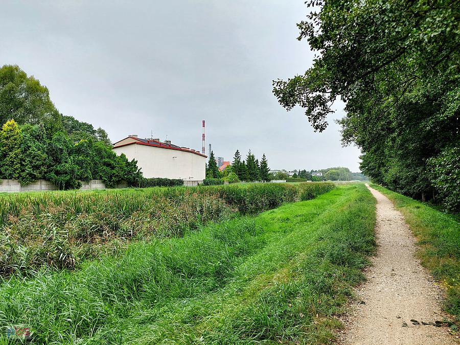 Warta w dzielnicy Zawodzie-Dąbie