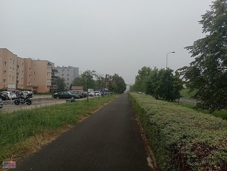 Wilgotny i mglisty poranek