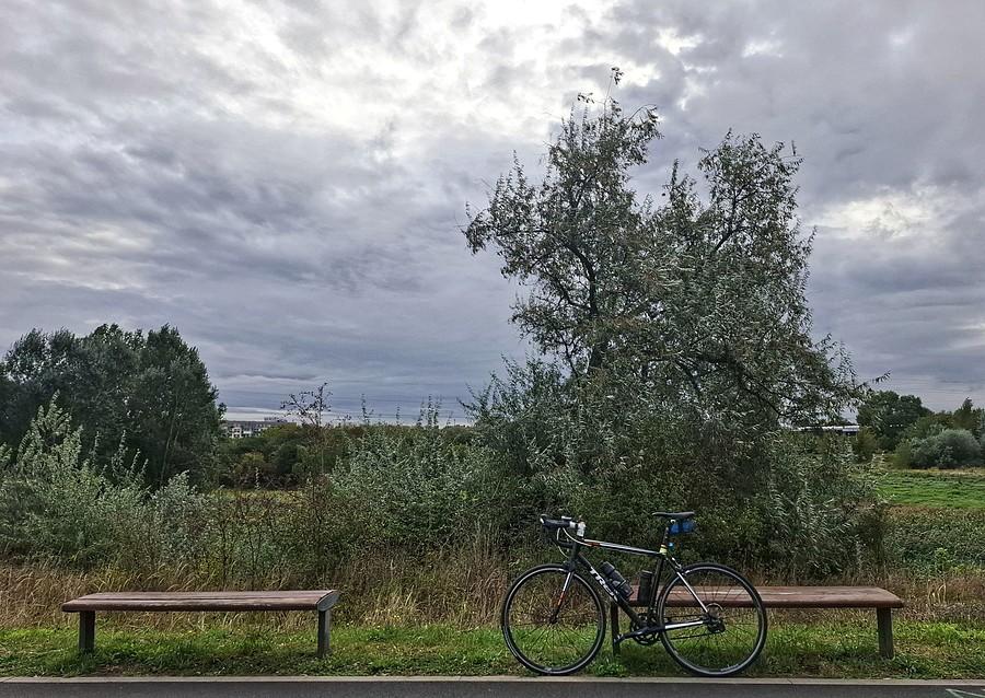 Rowerówka z Wartostrady