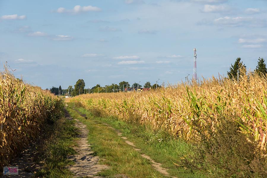 Mykanów