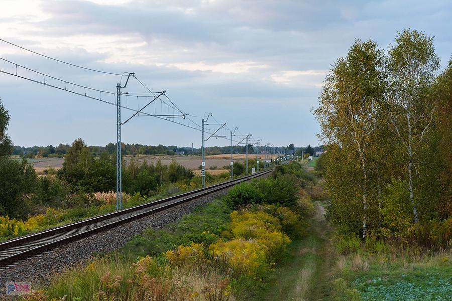 Linia kolejowa D29-146, szlak Rząsawa - Cykarzew w miejscowości Lubojenka