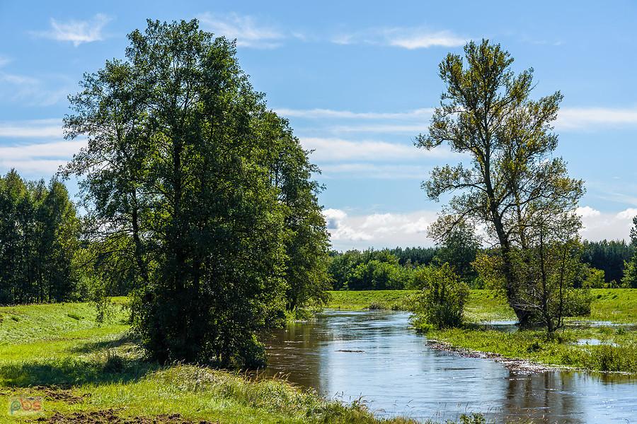 Warta w miejscowości Słowik