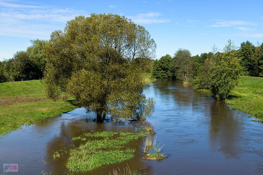 Warta w miejscowości Słowik
