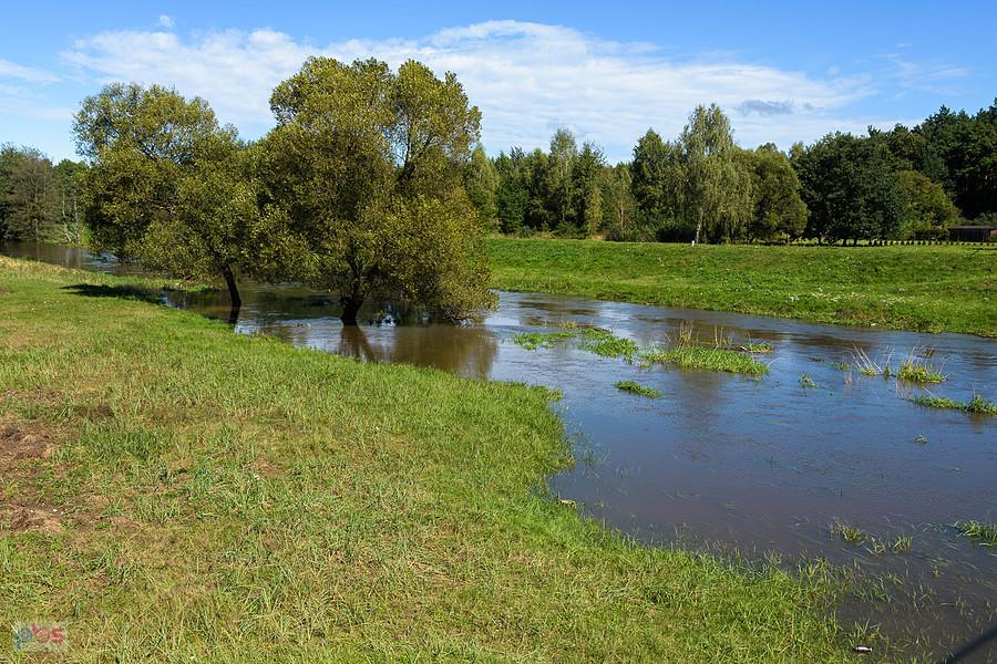 Warta w miejscowości Słowik